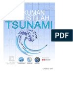 Rangkuman Istilah Tsunami