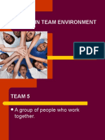 Work in Team Environment