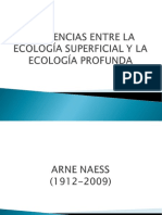 2.1. Diferencias Entre La Ecología Superficial y La Ecología Profunda