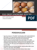 Egg Drop Syndrome (Eds'76)