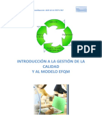 Manual EFQM PDF