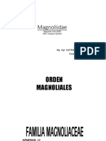 Magnoliidae PDF