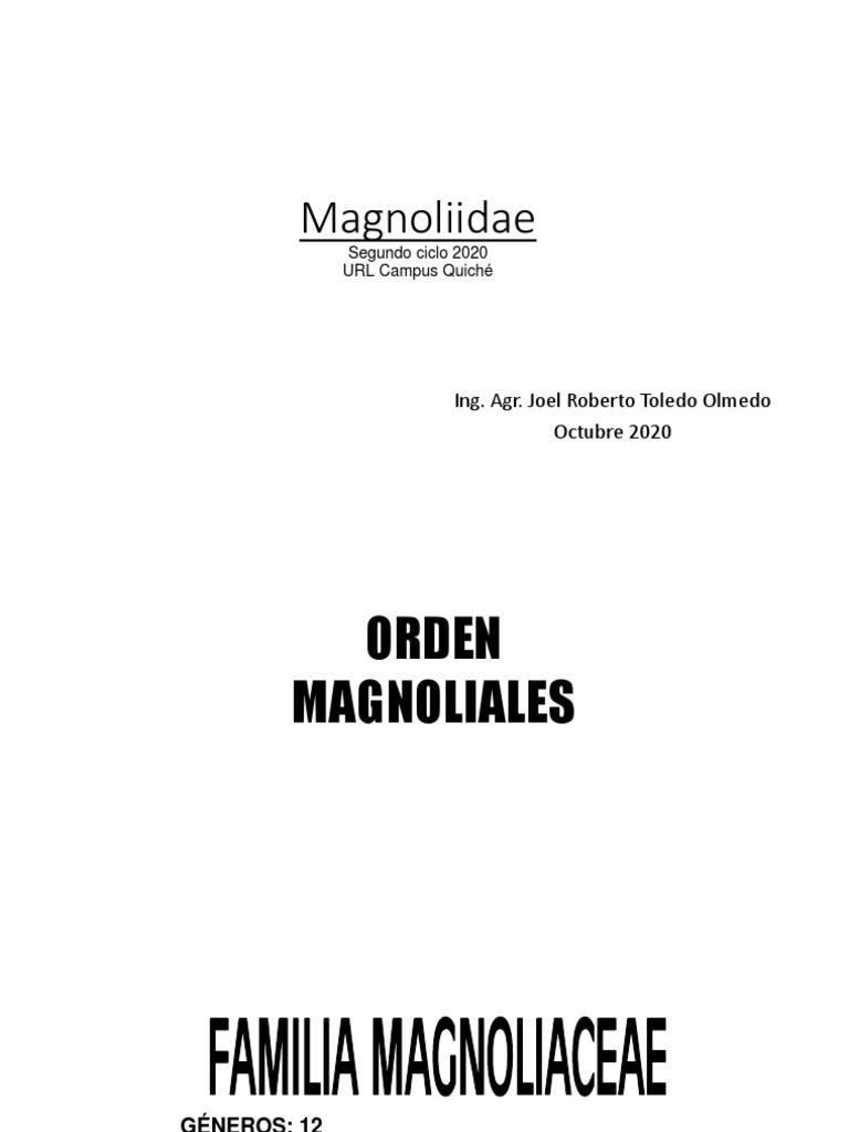 Características de Magnoliidae y Annonaceae | PDF | Pimienta negra ...