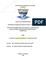 Tentativa Delitos Culposos y Debido Proceso PDF