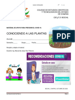 Conociendo A Las Plantas 3° G PDF