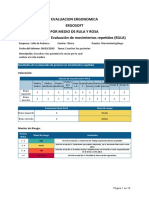 Informe Rula Ergosoft