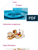 Tipos de Nutrición