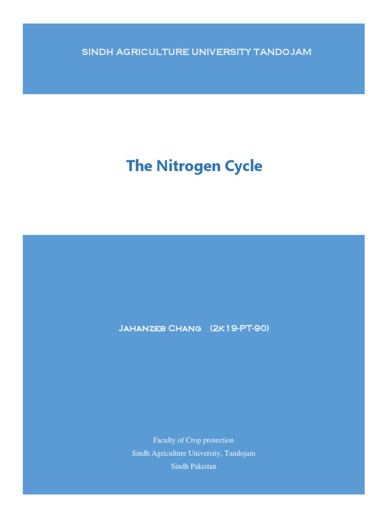 Nitrogen Cycle Or Semantic Scholar