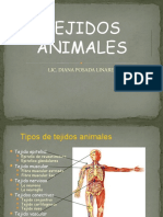 BT4.4 Tejidos Animales