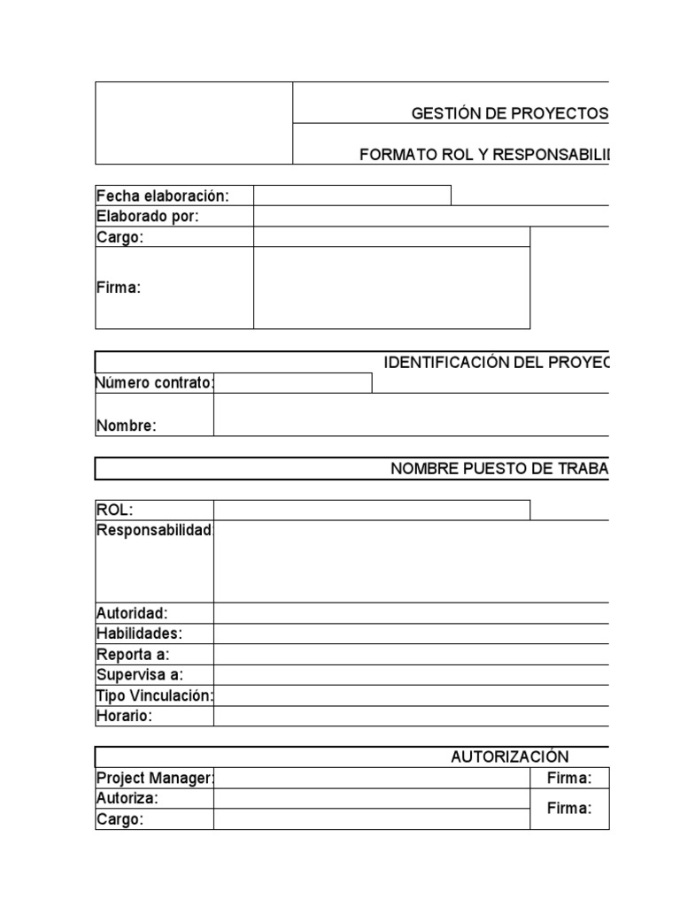 Formato de Roles y Responsabilidades | PDF