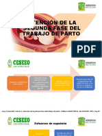 Atención de La Segunda Fase Del Trabajo de Parto