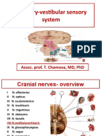 Auditory-Vestibular Sensory System Anatomy and Physiology