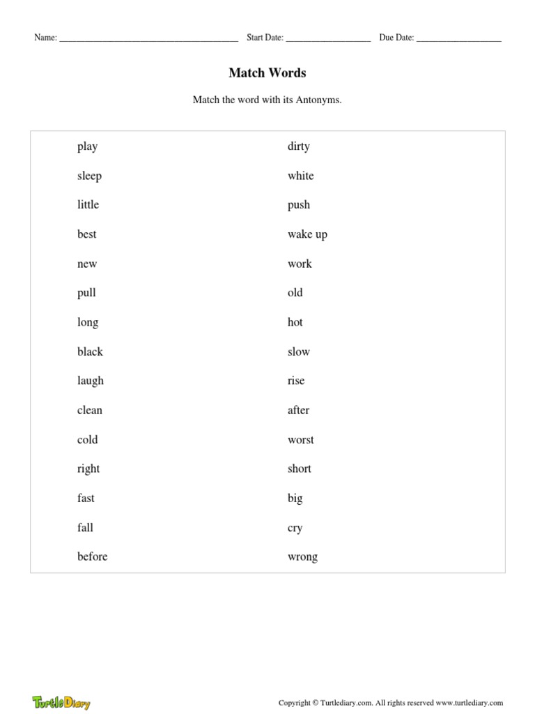 Match Words | PDF