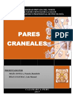 Pares Craneales PDF