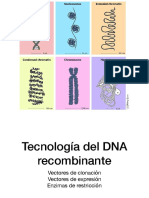 Tecnología DNA Recombinante ELENA PDF