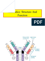 Antibody Structure and Function: A Concise Overview
