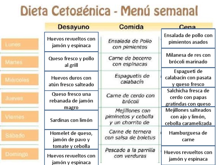 dieta low carb menu semanal pdf