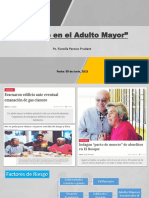Seminario - Suicidio en el Adulto Mayor.pdf