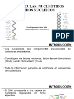 Biomoléculas. Nucleótidos y Ácidos Nucleicos