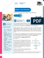 Ficha 2 PDF