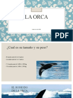 La Orca Dani y Xim e