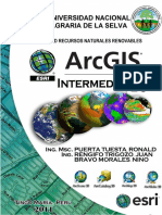 SIG Intermedio.pdf