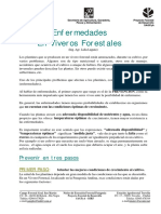 Enfermedades En Viveros Forestales.pdf