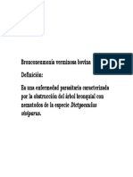 Bronquitis Verminosa en Byn