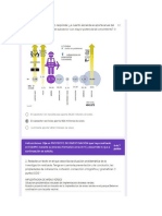 EXAMEN DE LOGRO.docx