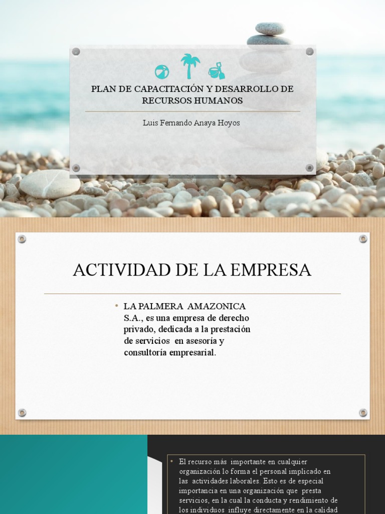 Plan de Capacitación y Desarrollo de Recursos Humanos | PDF | Gestión ...