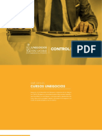 Control de Gestion (1306)