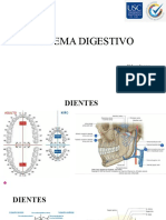 sistema digestivo SEMIOLOGIA