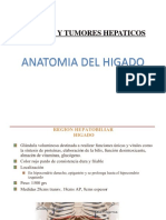 Anatomía y tumores hepáticos