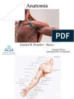 Clase Iii Hombro - Brazo