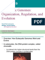 Eukaryotic Genomes: Organization, Regulation, and Evolution: Powerpoint Lectures For