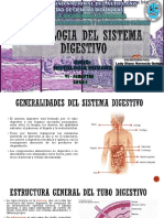 Histología Del Sistemas Digestivo Clompleto PDF