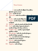 Observações Da Aula PDF