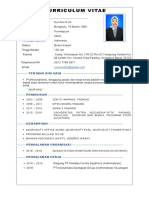 CV Aini - Converted-Compressed PDF