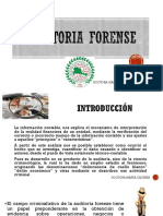 Auditoria Forense PDF