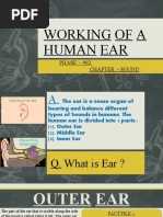 Working of A Human Ear: PHASE:-#02. Chapter: - Sound