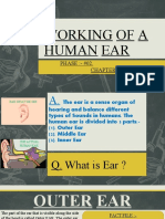 Working of A Human Ear: PHASE:-#02. Chapter: - Sound