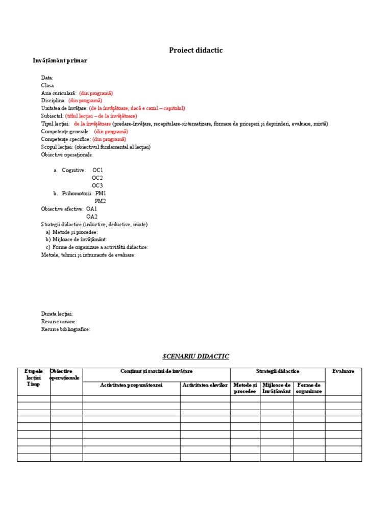 Format Proiect Didactic Primar | PDF