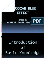 Gaussian Blur Effect: Wavelet Image Processing