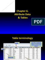 Attribute Data & Tables