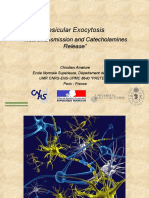 Vesicular Exocytosis: "Neurotransmission and Catecholamines Release"