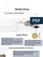Lassa Dan Hanta Virus