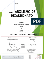Metabolismo de Bicarbonato