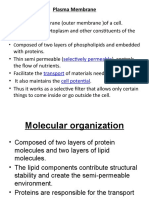 Plasma Membrane: Selectively Permeable Transport Cell Potential