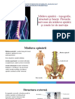 Măduva Spinării - Topografie, Structură Şi Funcţii. Plexurilor Nervoase Ale Măduvei Spinării Şi Zonele Lor de Inervaţie.