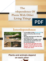 Plants PDF
